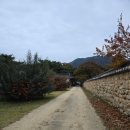 제주도 옹기장 | 전국 도별 항아리의 차이, 우당고택 장독대에서 배운 장의 미학