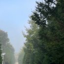 횡성자연휴양림 이미지