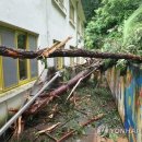 곡성-245 이미지