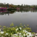 상무시민공원 이미지