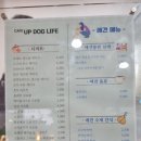 업독라이프 이미지