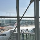 인타운 | 인천<->홍콩 캐세이퍼시픽 후기! + 인타운 체크인