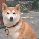 멋을아는 사람들과