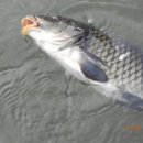 만수낚시터 이미지