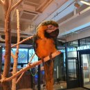 리틀히어로 ZOO 이미지