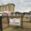 멍멍드림 이미지