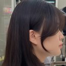 미니크헤어룸