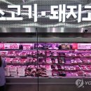 대신냉동 디지털타임스
