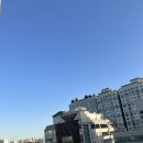 달싸롱 이미지