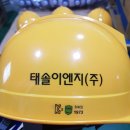 (주)태솔 - 559 | (주)태솔