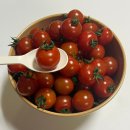 금홍 | 고당도방울토마토 금홍농장 고당도요요토마토