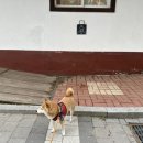 청성역사공원1 이미지