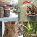 김승환 농장 이미지