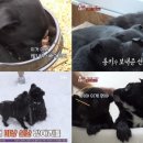 까망농장 이미지