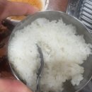 돈단지석쇠구이 | 양정시장 돼지갈비 맛집 회식/모임/데이트 추천! [돈단지석쇠구이]