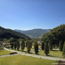 구례소나무정원 이미지