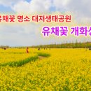 대저생태공원 이미지