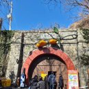 와인조형물 | 청도 가볼만한곳 추천 청도 와인터널 입장료·주차·소요시간 후기