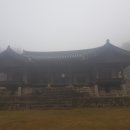 도군로-1 티스토리