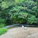 도사곡길 | 강원도 계곡 캠핑장 추천 홍천 도새울 캠핑장 시설 후기 예약