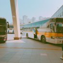 올라김밥앤티 | 170407 롱디커플의 2박3일 부산데이트 ♥(기장죽성성당/경주교리김밥후기/경주명동쫄면/경주안압지