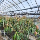 사가농장 이미지