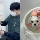 오멍누 이미지