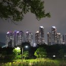 (고속 엘리베이트 30대) 트랜디한 샘삥으로 교체 완료 TRUMP WORLD 이미지