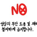 의성형제식육식당