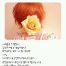 하울