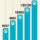한국경제 ] 멍냥이 입맛 잡아라"…<b>펫푸드</b>에 꽂힌 식품社