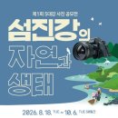 대강강 뉴시스