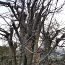 토함빌리지 이미지