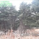 진관1리마을회관 이미지