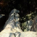 2010년10월31일 일요일*관악산 하마바위~낭만계곡~파이프능선~연주암~케이블카능선 단풍산행 이미지