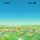 (주)다진심 이미지