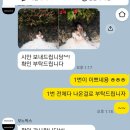 웨딩 결혼식 포토테이블 셀프액자 준비 모노픽스 셀프주문