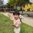 개나리어린이집 이미지