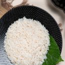 힘찬장어 이미지