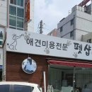 진교애견샵 - 하동군 민다리길 73 | 진교애견샵