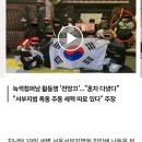 [종편][단독] &#34;녹색점퍼남 개인적 일탈&#34;…&#39;서부지법 폭동&#39; MZ결사대 주장은? 이미지