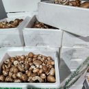 석성농장 이미지