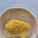 하곰이네 | [내돈내산]2025 펫쇼코리아 간식 찐 구매 후기｜하곰이네&amp;위시본, 진짜 잘 샀을까?