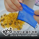 등나무문화공원 이미지