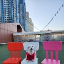 센텀필약국 이미지