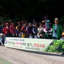 종현사 네이버블로그