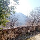 별장하우스 이미지