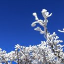 신화 행정사 사무소 이미지