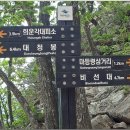 공룡주먹밥 이미지