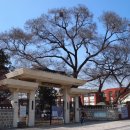 고목초등학교 이미지